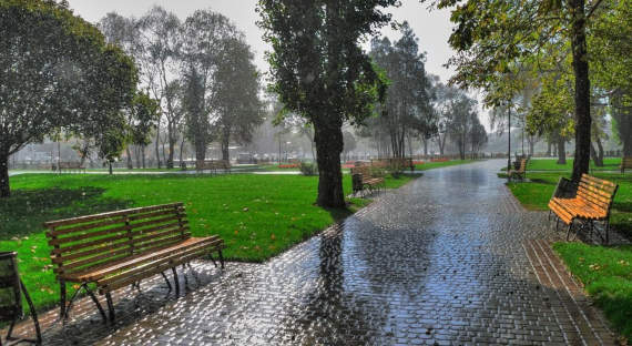 Погода в Хакасии 14 августа: Дожди обещают затянуться на весь день