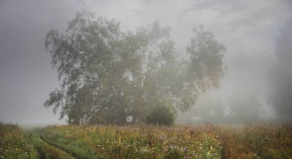 Погода в Хакасии 15 сентября: Осень, пасмурная и дождливая