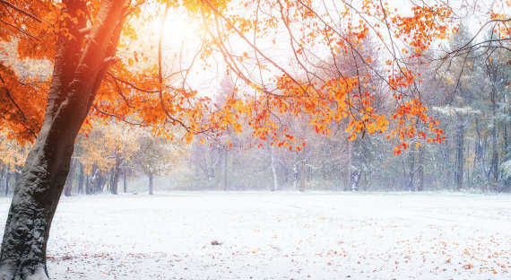 Погода в Хакасии 1 декабря: А вот и зима