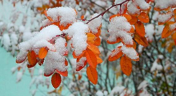 Погода в Хакасии 10 ноября: Начало зимы?
