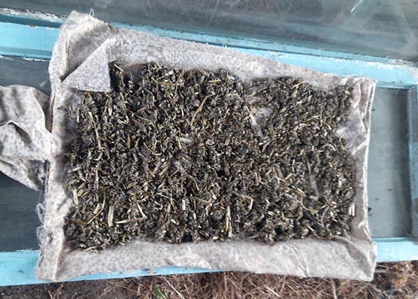 У жителя Белого Яра полиция изъяла маковую соломку