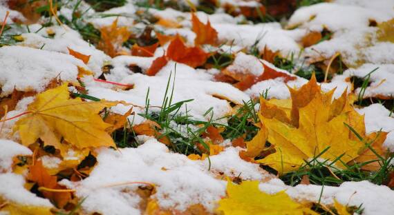Погода в Хакасии 1 ноября: В республику приходит снег