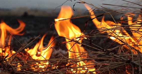 В Хакасии кто-то спалил 36 тонн сена
