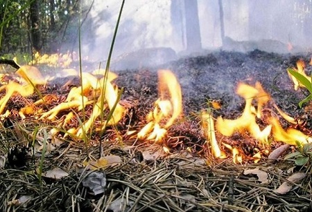 Противопожарный режим должен соблюдаться в Хакасии и в праздники