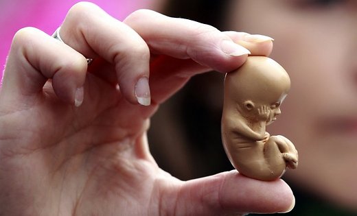 Ученые в США начнут эксперименты по зачатию от трёх родителей