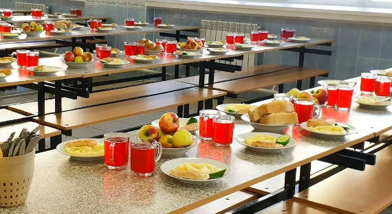Госдума приняла закон о горячем питании в школах