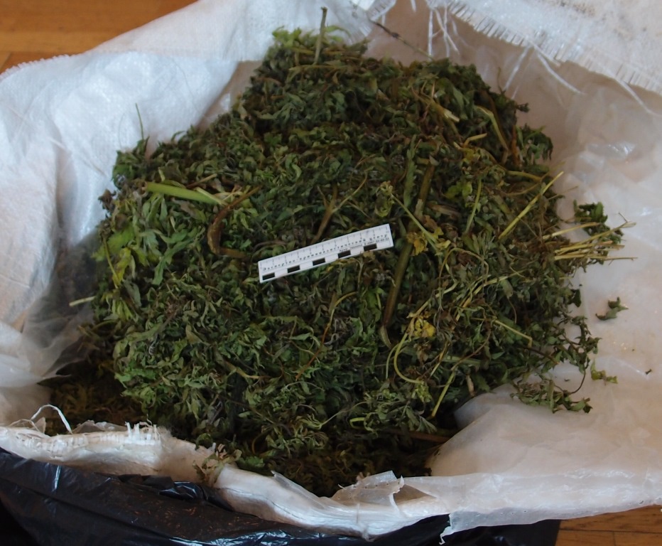 Молодой сельчанин нашел в огороде марихуану