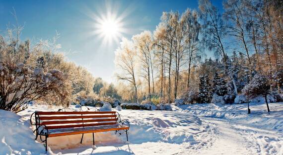 Погода в Хакасии 5 декабря: Зимнее солнце светит ярко