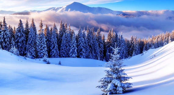 Погода в Хакасии, 27 декабря: Зима остается мягкой