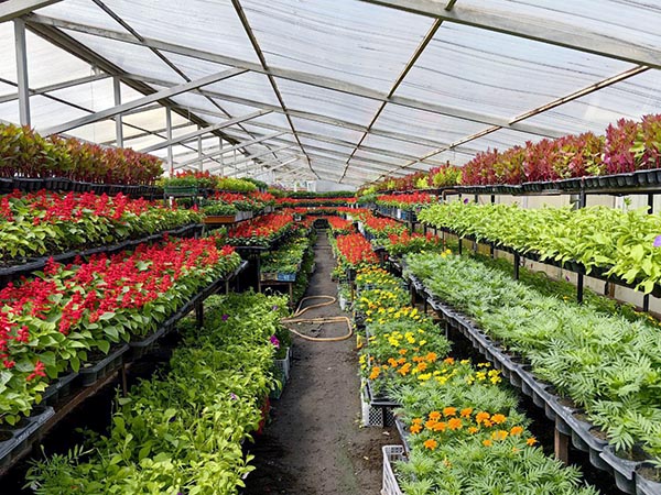 На улицах Абакана начинают высаживать цветы