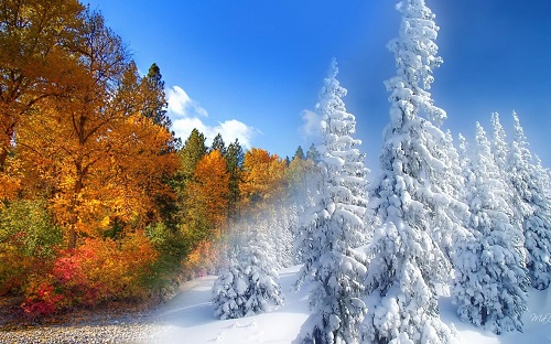 Хакасия за неделю: осенне-зимний позитив с минусовой температурой