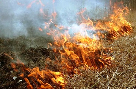 Хакасия активно готовится к весенним пожарам в лесах