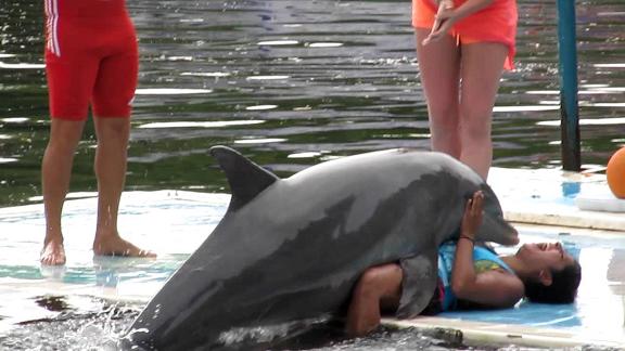 Озабоченный французский дельфин утомил пловцов приставаниями