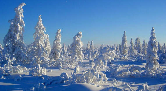 Погода в Хакасии 2 января: Морозы возвращаются
