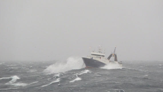 В Баренцевом море затонуло рыболовецкое судно: пропали 17 человек