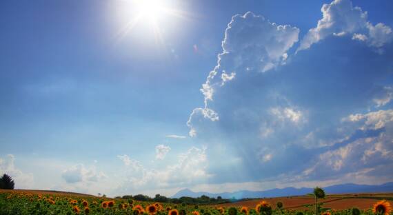 Погода в Хакасии 13 июля: Ясный и теплый день