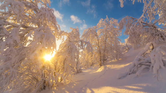 Погода в Хакасии 11 января: Мягкое тепло и легкий снег