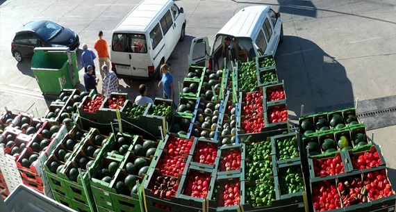 Импорт продовольствия в России сократился почти в два раза