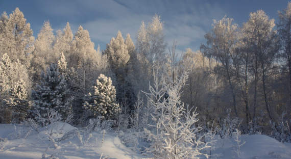 Погода в Хакасии 15 декабря: Зима пришла