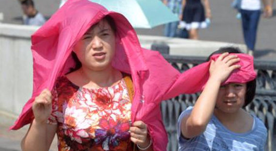 За минувшую неделю в Японии два человека скончались от жары