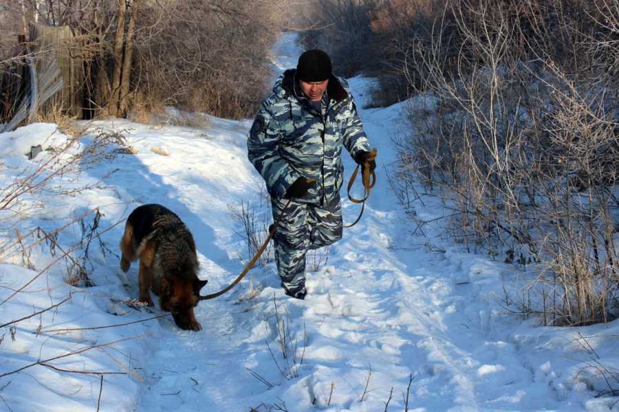 Жительница Хакасии, пропавшая в новогоднюю ночь, найдена замерзшей