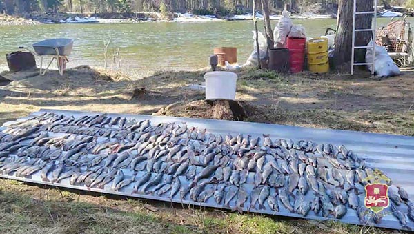 В Хакасии нарушителей запрета на рыбалку ловит полиция