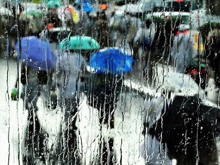 Погода в Хакасии 1-3 августа: День ВДВ будет “плакать”