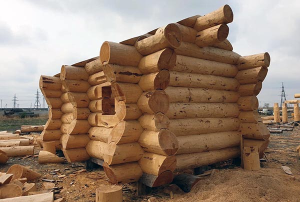 Объём экспорта древесины из Хакасии увеличился
