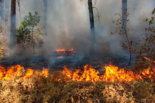 В Хакасии за выходные пожарные ликвидировали 7 возгораний