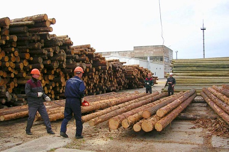 Погорельцев Хакасии обеспечат бесплатным лесом