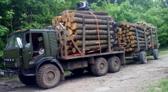 В Туве легковой автомобиль столкнулся с лесовозом