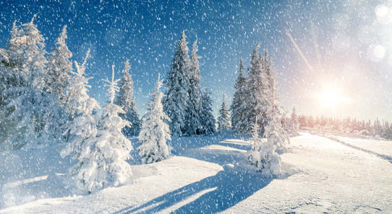 Гидрометцентр: Январь будет снежным и холодным