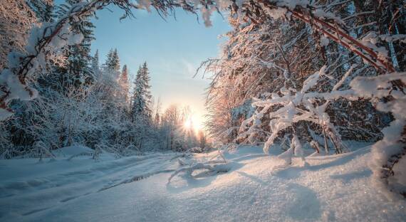 Погода в Хакасии 23 января: Зима остается безветренной