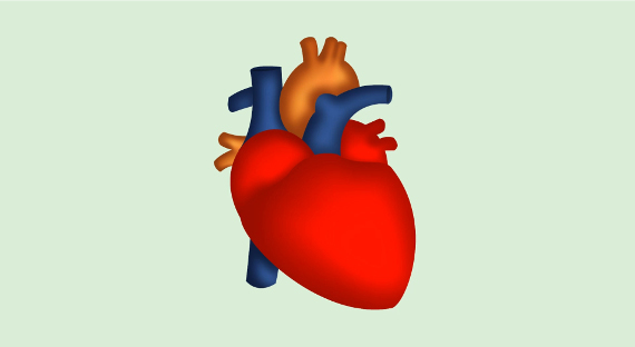 В Израиле впервые напечатали на 3D-принтере живое сердце
