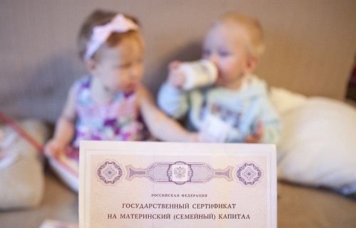 320 черногорских семей получили сертификаты на маткапитал
