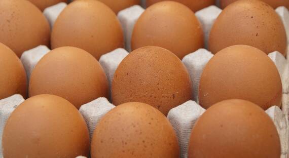 В Абакане изъяли партию куриных яиц без документов