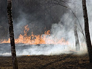 В Хакасии от грозы загорелся лес