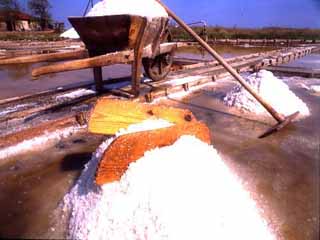 В Абакане нашли антисанитарный цех по переработке соли