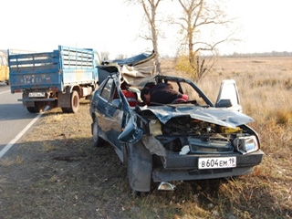 В Хакасии пассажирка "Жигулей" погибла в ДТП с лошадью