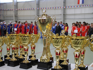 Школьники из Саяногорска стали победителями "Президентских игр" (фото)