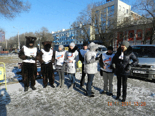 Молодогвардейцы Хакасии выступили против свободной продажи кодеиносодержащих лекарств