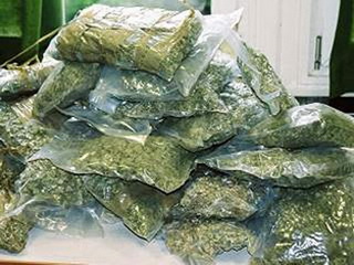 С начала года в Орджоникидзевском районе Хакасии изъято 3,5 кг наркотиков