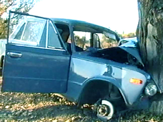 В Саяногорске молодой водитель погиб, врезавшись в дерево