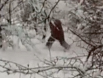 «Снежный человек» под снегопадом в Москве попал на видео
