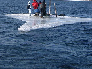 Студентов МГУ унесло на льдине в открытое море