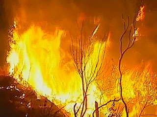 В Хакасии действует лесной пожар на площади в 5 гектаров