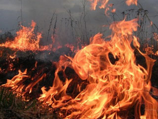 "Ростелеком" готовится к пожароопасному периоду в Хакасии