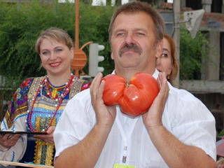 На звание "Минусинский чемпион-2010" претендует томат весом 1,5 кг