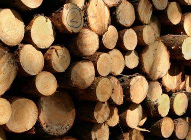 Более 170 тысяч кубометров древесины для собственных нужд получили жители Хакасии в 2011 году. 