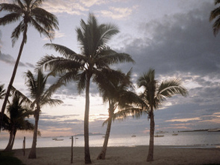 Землетрясение магнитудой 7,2 произошло у побережья Фиджи